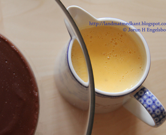 Sjokoladepudding med vaniljesaus - Chocolate pudding with custard