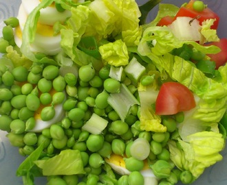 Frisk salat