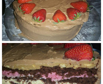 Sjokoladekake med bringebærmousse og vaniljekrem
