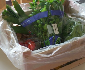 Økologiske grønnsaker på døra fra Kolonihagen:-)