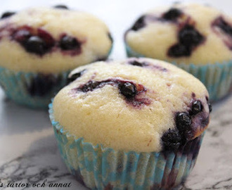 Citron och blåbärsmuffins