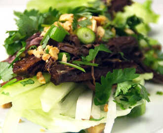 Pulled beef med asiatisk touch