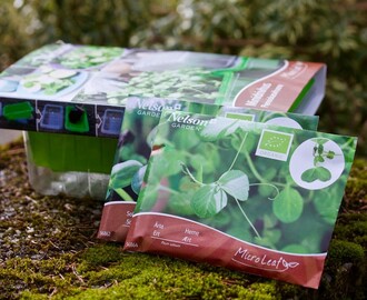 Mejas Mat testar Gardenhome’s Micro Greens