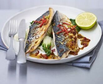 Grilled mackerel with sweet soy glaze | Recipe | Mackerel recipes, Soy glaze recipe, Bbc good food recipes