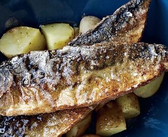 Rugmelsstegt makrel med brunet smør | Femina | Mad ideer, Mad, Fiskeopskrifter