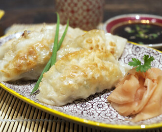 Dumplings Gyoza – Ångkokade asiatiska degknyten