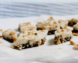 Vegan Raw Herb Salted Peanut Ice Cream Bars