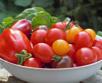 Himmelsk tomatsallad