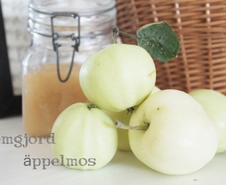 Hemgjord äppelmos