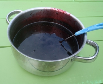 Blåbärssoppa med vinbärssaft