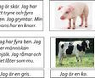 Djurmeningar - bondgården -beställning | Animals: Bondgård (Farm theme) | Pinterest | Farm theme, Montessori and Animals