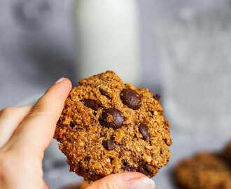 Chocolate Chip Nut Oat Cookies