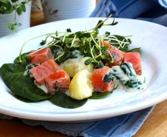 Lättstekt gravad lax med stuvad potatis och bladspenat