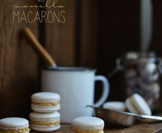 Coffee and Vanilla Macarons (Kaffe-konjak macaroner samt en liten macaronguide)