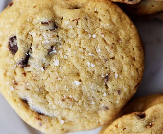 Salted Double Chocolate Chip Cookies Recipe