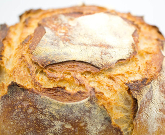 French Basic Country Bread