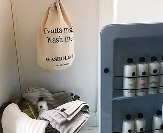 Lär känna Viktoria som är grundaren av tvättmärket Washologi
