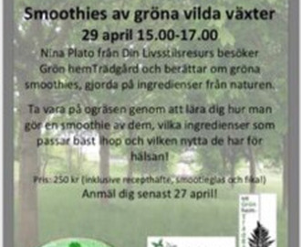 Workshop i att göra smoothies av vilda växter