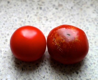 Tomat vs. tomat