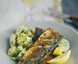 Grilled mackerel fillets with lime mojo | Recipe | Mackerel fillet recipes, Mackerel recipes, Grilled mackerel