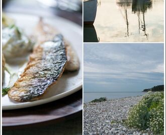 Opskrift på lækker skindstegt makrel fra Marinas Mad | Opskrift | Mad, Opskrifter, Fisk