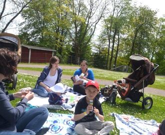 Picknick på Mösseberg med mammamaffian