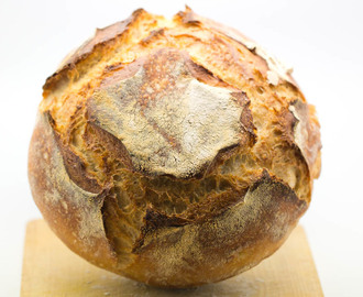 Grund för Surdegsbröd / Basis of Sourdough Bread