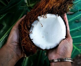Gör din egen kokosmjölk – lätt som en plätt