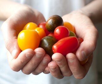 Äntligen är de här – tomaterna!