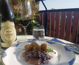 Masi Amarone Costasera till Matjessill – sommarens snackis-kombination