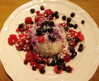 Kokosmugcake med blåbär