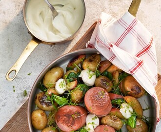 Stekt Falukorv i bit med blomkålscrème, stekt äpple och stekt potatis