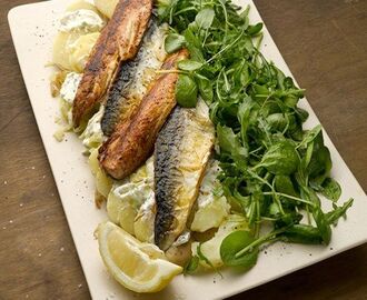 Warm mackerel with potato and wild garlic | Ottolenghi recipes, Seafood recipes, How to cook potatoes