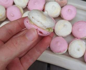 Tvåfärgade macarons med vit choklad- och limetryffel