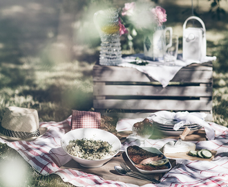 Picknick i trädgården med ljummen blomkålssallad och lax