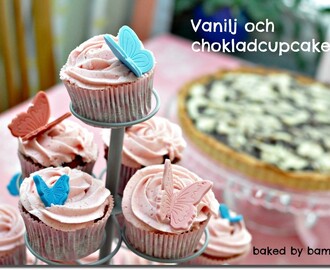 Vanilj och chokladcupcakes med vaniljfrosting