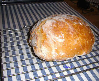 Easy Bread (Surdegsbröd)