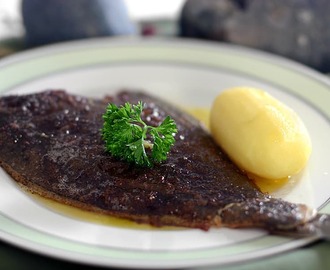 Helstekt rödspätta meunière (eller annan platfisk) - Recept och råvarukunskap - Spisa.nu