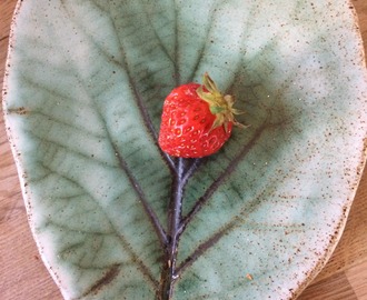 Saftiga jordgubbar från svenska gårdar?