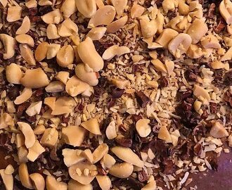 Sockerfri brownie med rostad kokos och jordnötter – recept