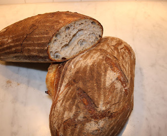 Lantbröd med levain