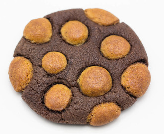 Chocolate-Gingerbread Dough Cookies