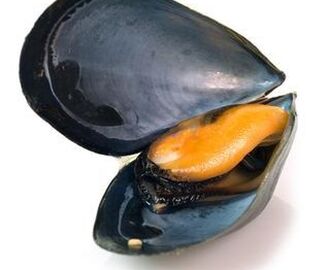 Ångkokta musslor