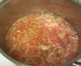 Tomat och Löksoppa