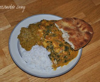 Palak paneer och dhal