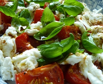Brödsallad med mozzarella och rostade tomater (panzanella)