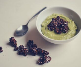 Raw & vegan avocado yoghurt