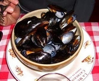 Vitvinskokta musslor