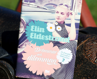 Recension: Drömmar och dilemman, av Elin Eldestrand