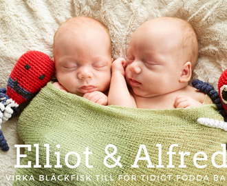 Elliot och Alfred – Monoamniotiska tvillingar